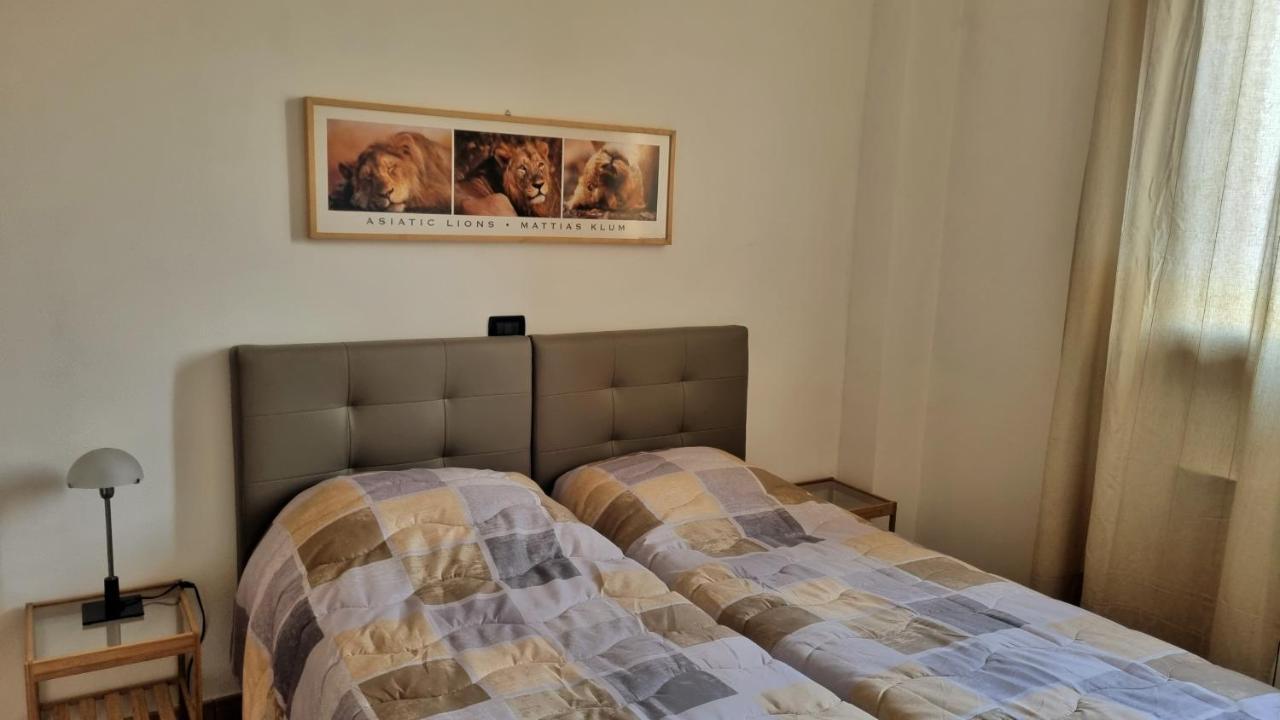 Appartamento Spazioso Le Vitterelle B&B Zocca Buitenkant foto